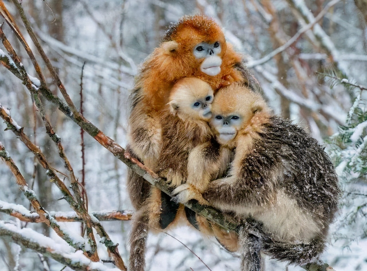 ůģֻжЦݣеʼҵů